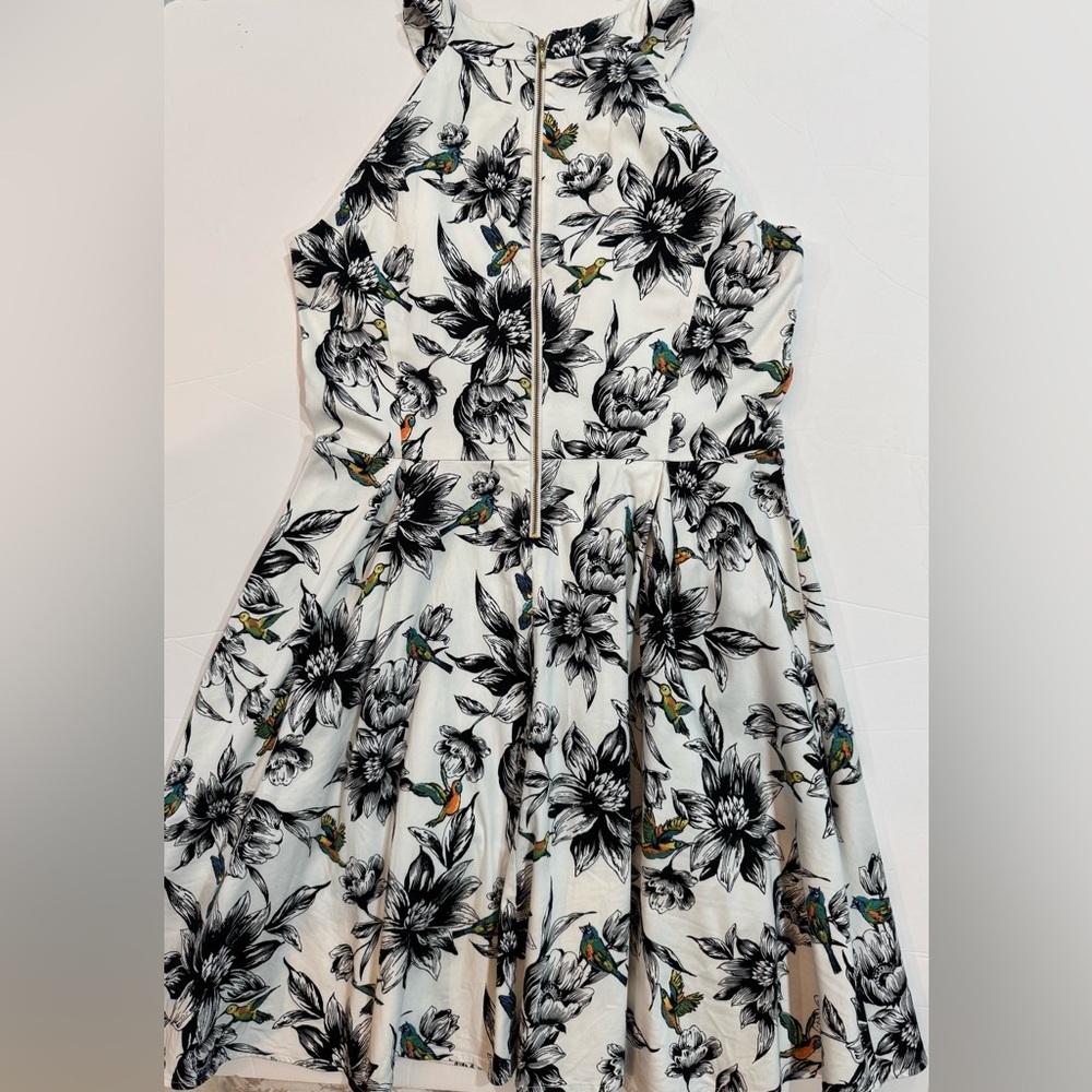 Black White Floral Hummingbird Dress High Neck Fit Flare Sleeveless 16 - Picture 3 of 10